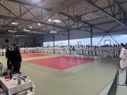 Foto-170126-10-02-55